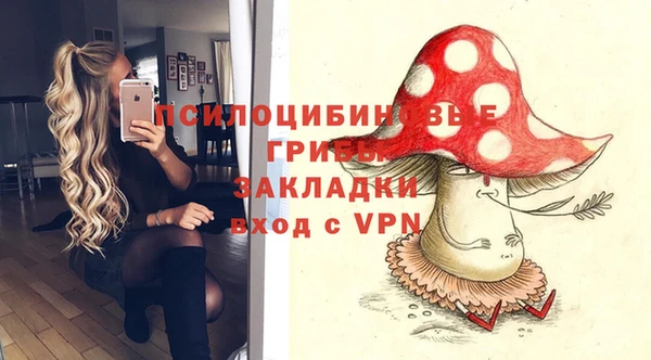 а пвп мука Баксан