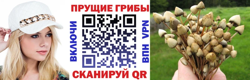 Галлюциногенные грибы Magic Shrooms Нерюнгри